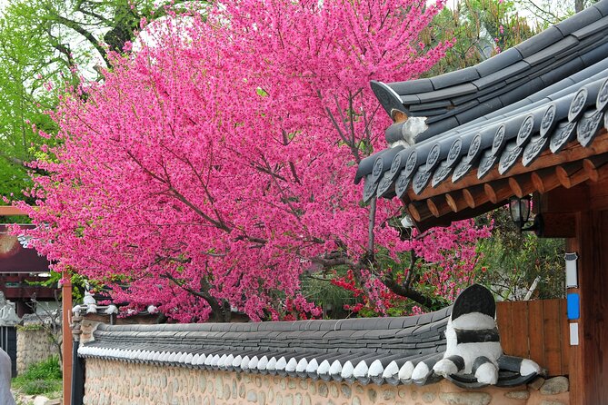Private Tour Jeonju Hanok Village From Seoul - Operator Details