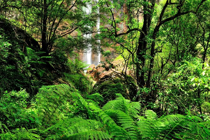 Private Tour - Juan Curí Waterfalls (Nature) - Participant Requirements
