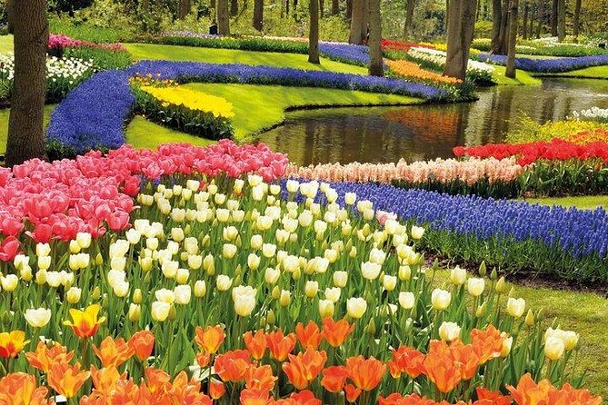 Private Tour : Keukenhof Tulips and Delft Tour From Brussels Full Day - Confirmation and Communication