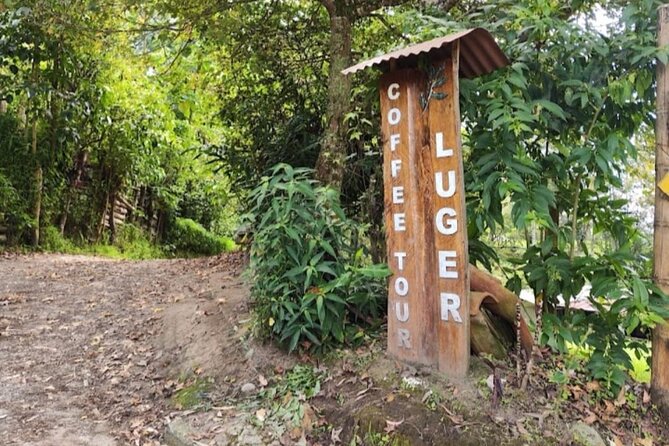 Private Tour of Salento Cocora Valley and Finca Luguer Coffee - Transportation Details