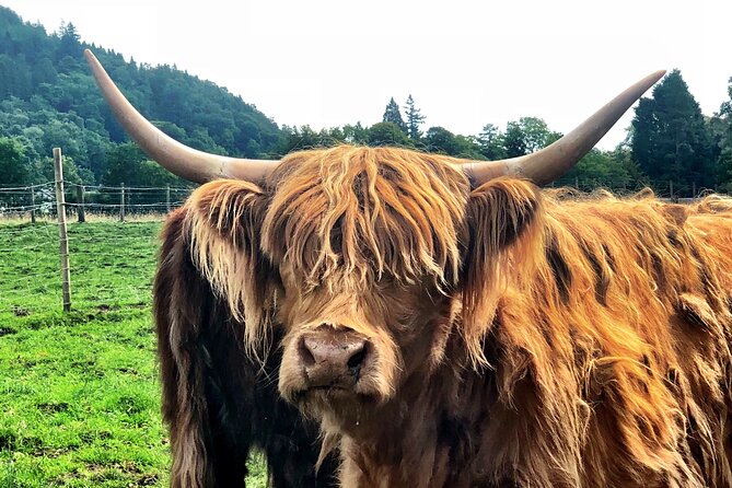 Private Tour of Scottish Highlands the Battle of Culloden - Booking Process