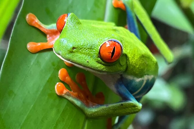 Private Tour to Llanos De Cortés Falls and Rainforest - Cancellation and Refund Policy