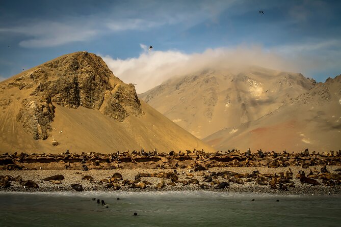 Private Tour to Paracas National Reserve - Additional Information