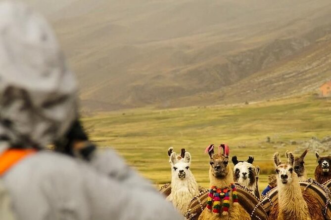 Private Tour to Rainbow Mountain With ATV - Frequently Asked Questions