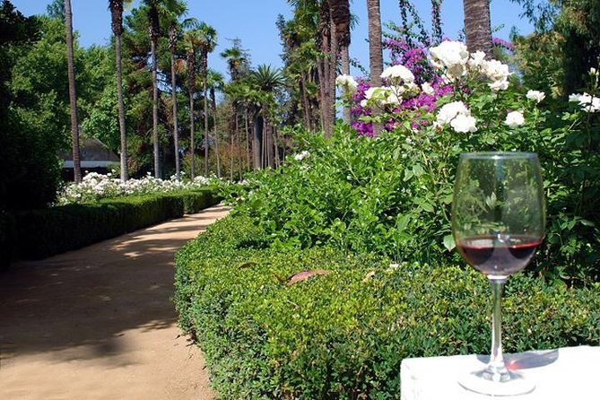 Private Tour: Undurraga Vineyard Experience With Premium Wine Tasting - Tour Highlights