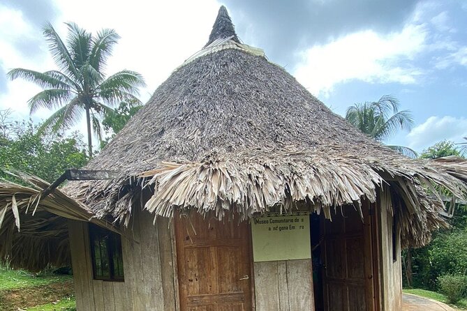Private Tours to Embera Indigenous Communities - Tips for Your Visit