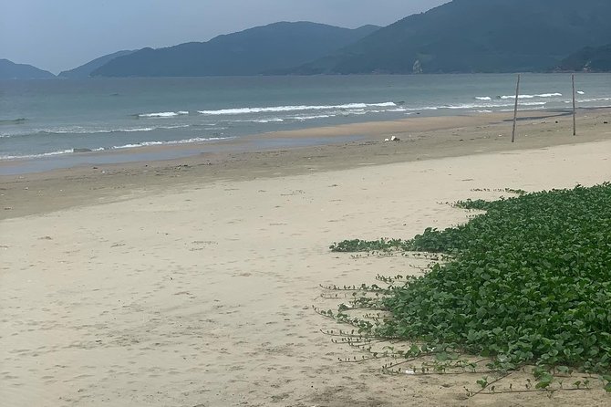 Private Transfer Da Nang Airport to Lapochine Hue With English Speaking Driver - Operational Guidelines