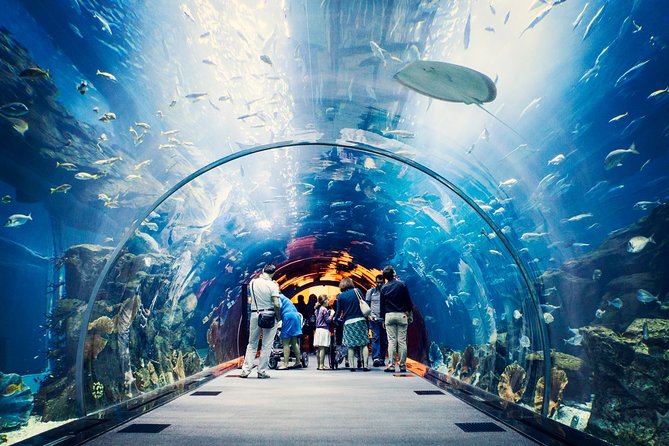 Private Transfer From Dubai Hotels to Dubai Mall - Booking Information