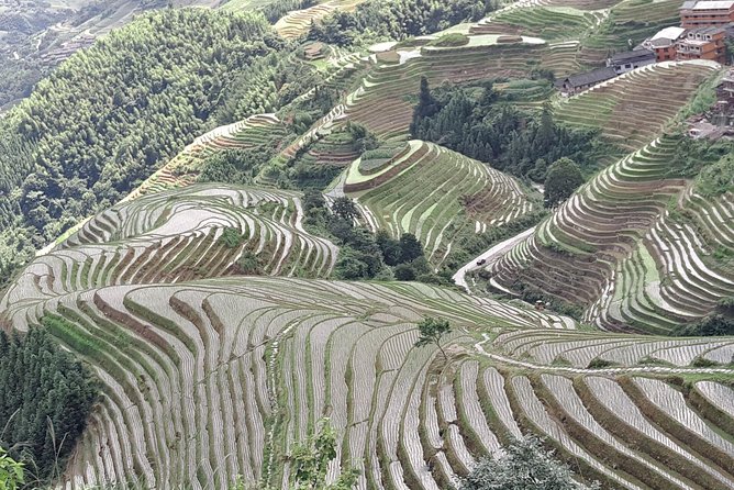 Private Transfer From Fenghuang to Guilin and Stops at Longji Terraces - Pricing Details
