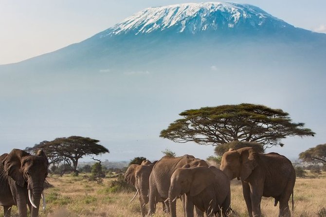 Private Transfer From Kigali to Kigali Airport (Kgl) - Meeting Point