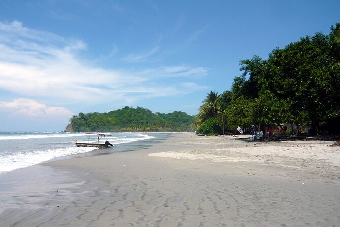 Private Transfer From Liberia Airport To Playa Conchal & Playa Flamingo - Confirmation and Accessibility