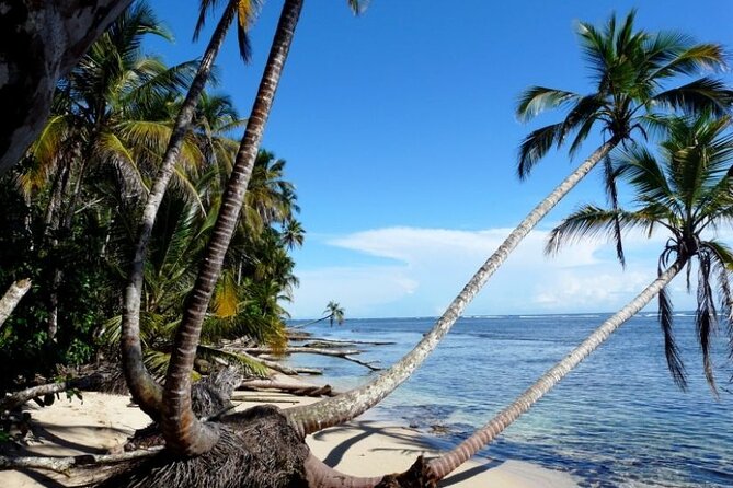 Private Transfer From San Jose Airport To Cahuita - Cancellation Policy