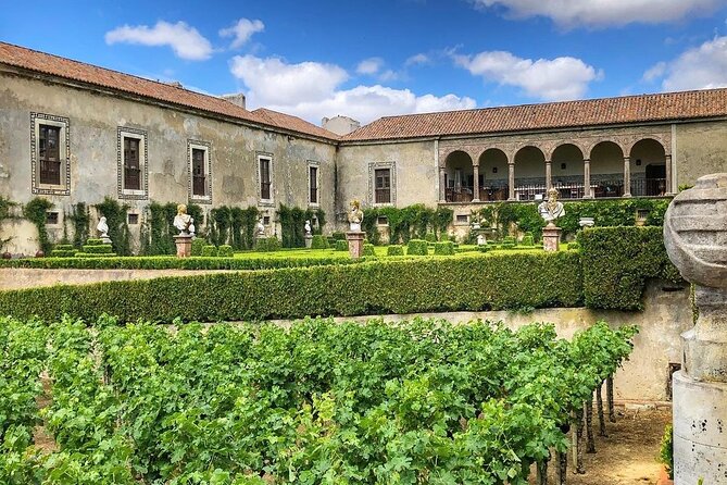 Private Transfer From the Airport to Your Accommodation! - Booking Your Transfer