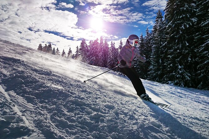 Private Transfer in the Alps From Zurich to Val Thorens, English Speaking Driver - Terms and Conditions