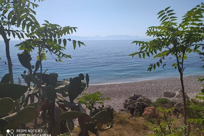 Private Transfer Palermo Airport To/From Adler SPA Resort Sicily - Drop-off Details