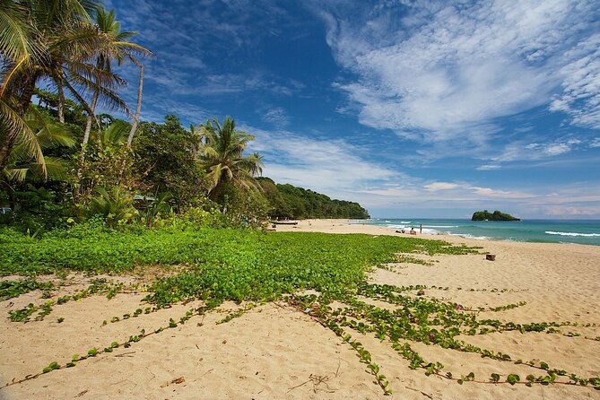 Private Transport Arenal to Puerto Viejo - Accessibility Information