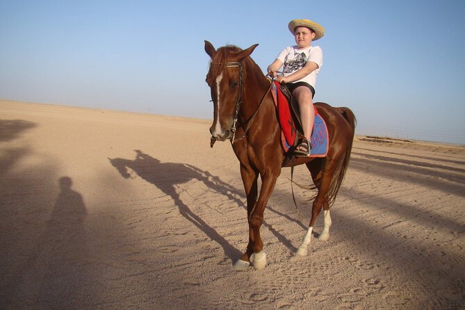 Private Transportation To Adventure Safari By Horse In Sharm El Sheikh - Meeting Options