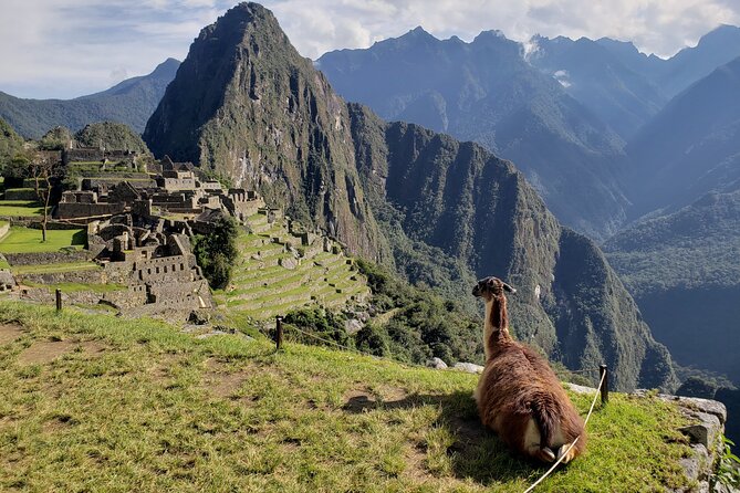 Private Visit to Machu Picchu and Participate in the Coca Rite - Customer Reviews