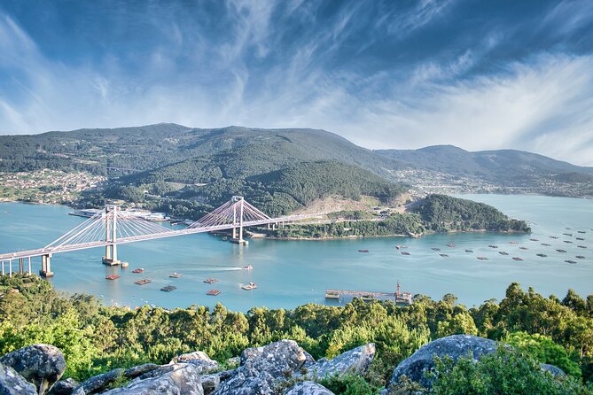Private Walking Tour Around Vigo With Beer or Wine - Pricing Information