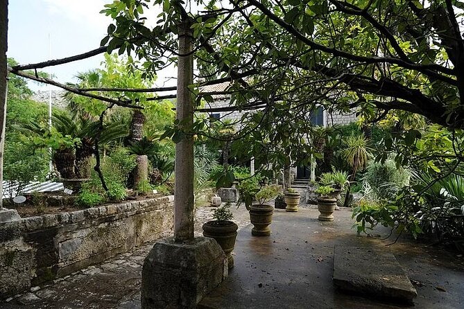 Private Walking Tour in Botanical Garden Trsteno With Photo Stop - Group Size and Participation