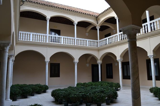 Private Walking Tour of Thyssen Museum in Malaga - Meeting Point and End Point