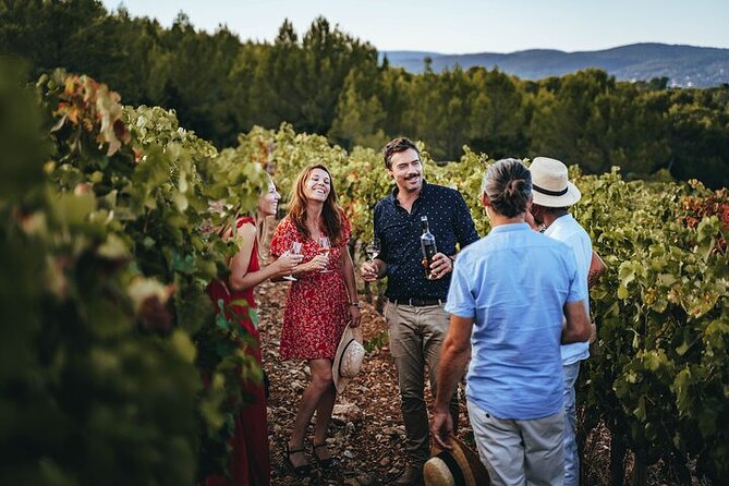 Private Wine Tour in Provence With an Expert - Cancellation Policy