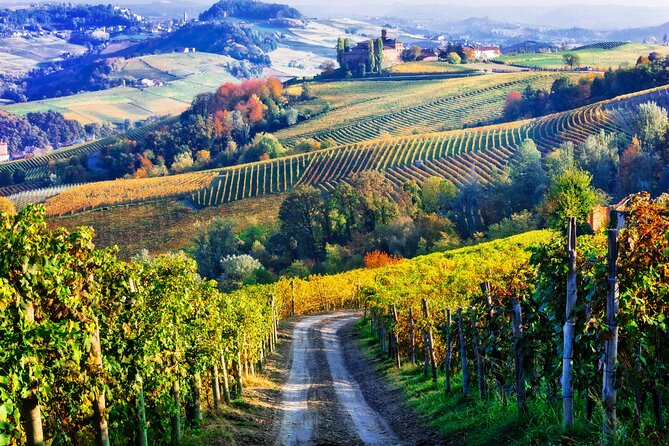 Private Wine Tour in the Tuscan Countryside From Florence - Cancellation Policy