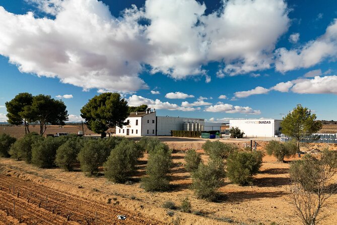 Private Wine Tour to the Costa Blanca Wineries - Tour Logistics