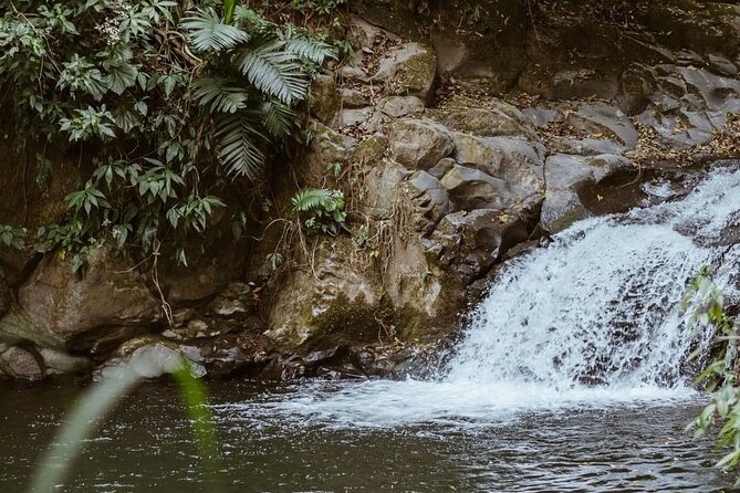 Private Xela Wellness Immersion in Guatemala - Cancellation Policy and Additional Info