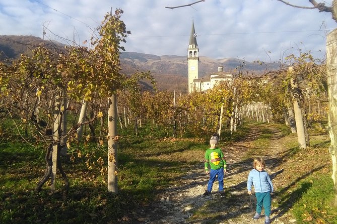 Prosecco Hills Hiking Tour and Wine Tasting - Price Breakdown