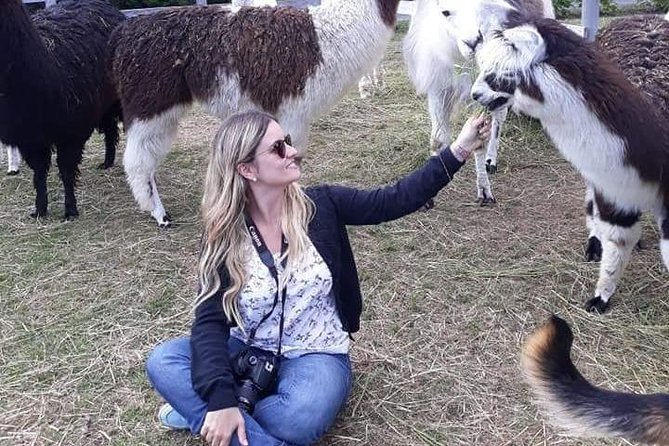 Puerto Varas Excursion, Petrohue Falls, Osorno Volcano - Customer Reviews