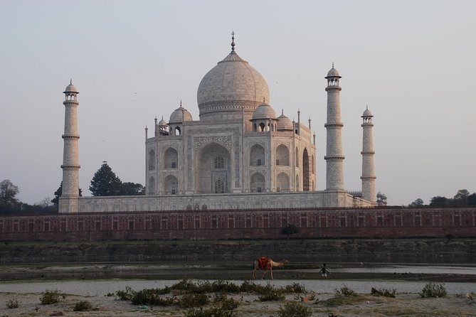 Pune to Taj Mahal and Agra Same Day Tour With Return Flights - Multilingual Guide Details