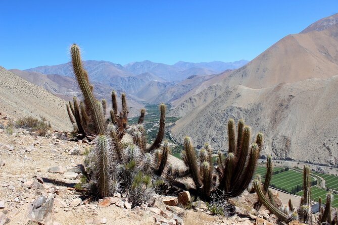 Puritama Canyon and Guatin Trekking - Price & Reviews