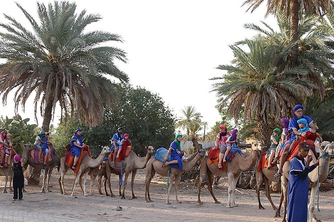 Quad Bike and Camel Ride in Marrakech Palmeraie - Inclusions