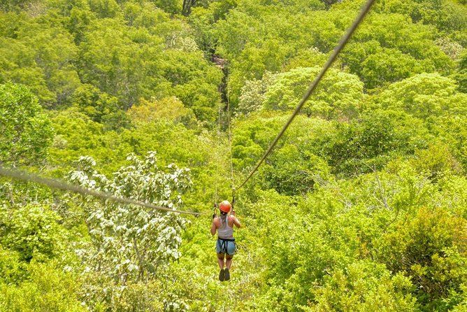 Quad Bike Tour In Barra Do Cunhaú With Tree Canopy - Cancellation and Flexibility Options