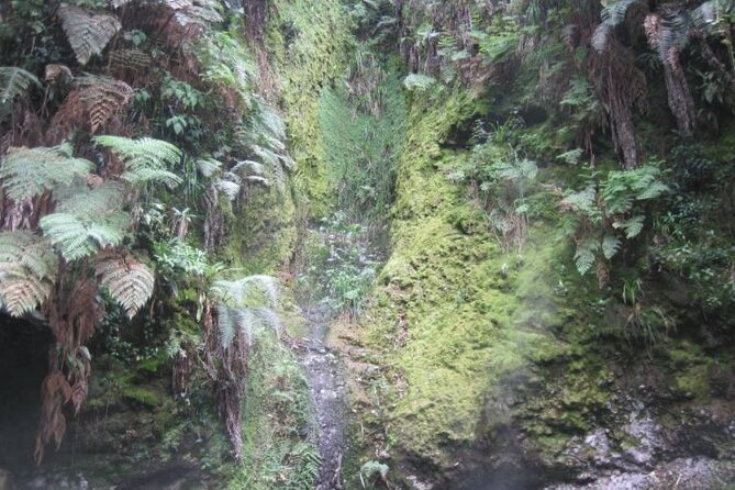Quetzaltenango and Fuentes Georginas Hot Springs From Panajachel - Cancellation Policy