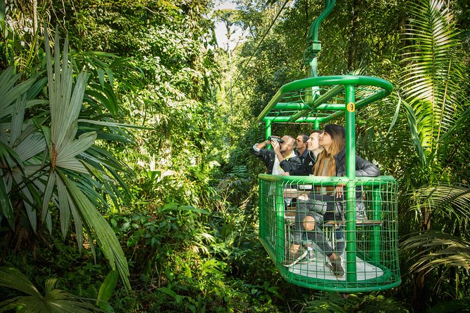 Rain Forest Aerial Tram. Private Tour From San Jose - The Sum Up