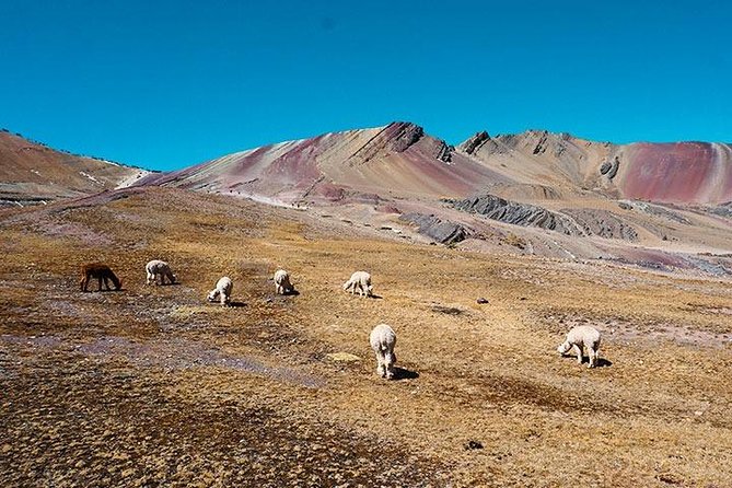 Rainbow Mountain Tour Full Day - Peru Hike - Private Service - Optional Services Available