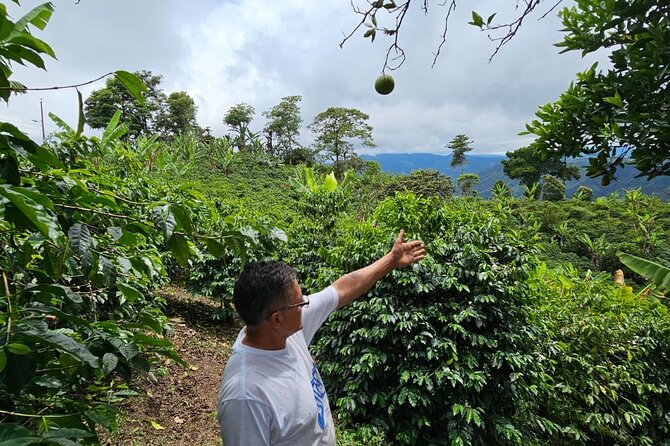 Real Coffee Experience and Birding Activity by Quito - Directions for Your Experience