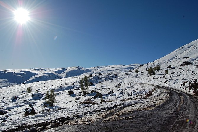 Reservoir Yeso Day Trip From Santiago November to March Only - Pricing and Reservation Details