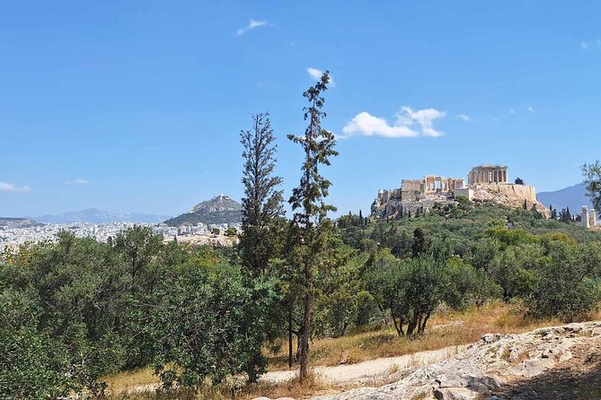 Revealing the Archaeological Lanscape With a Specialist - Hands-On Excavation Experience