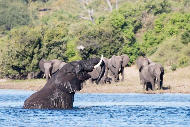 Rhino Game Drive and Walking Safaris - Pickup Points and Accessibility