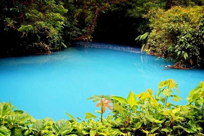 RÍO CELESTE: Tubing+Rainforest+Wildlife+Tenorio Volcano - Booking Information and Policies