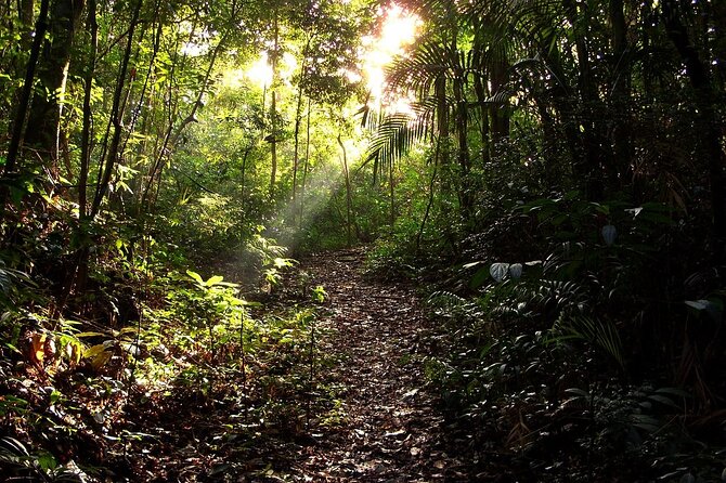 Rio De Janeiro Sustainable Experience - Operating Schedule