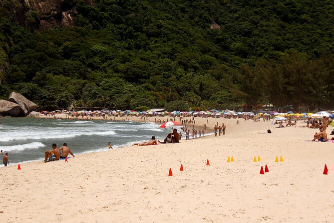 Rio: Sitio Burle Marx and Cachaça Distillery Private Tour - Important Tour Information