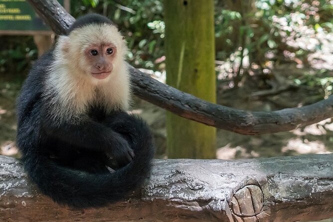 Roatan Mayan Jungle VIP Tour - What To Expect