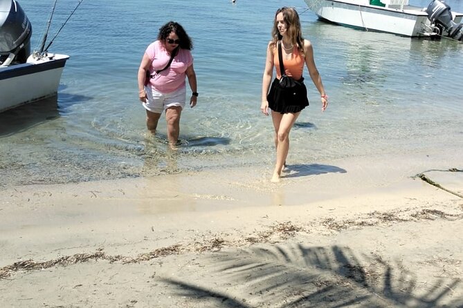 Roatan Private Family City Tour With Sloth Monkey and Beach - Price and Booking