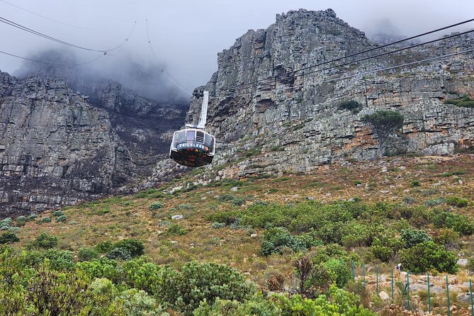 Robben Island Table Mountain City Tour Private From Cape Town - Review