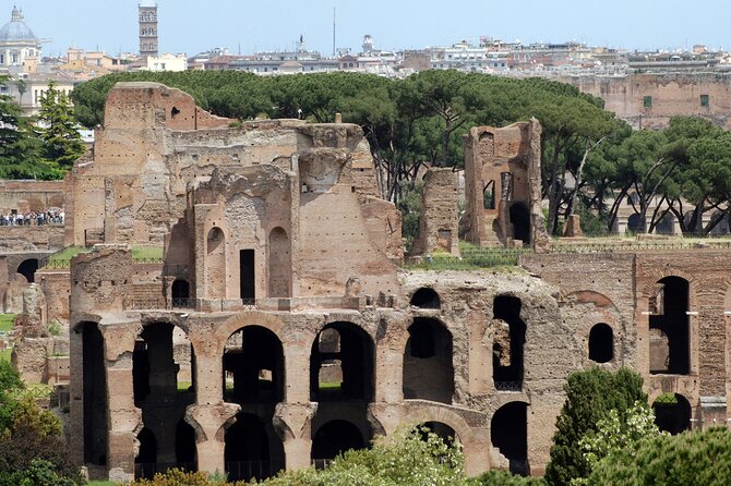 Rome: Colosseum, Roman Forum and Palatine Hill Entry Ticket - Accessibility Information