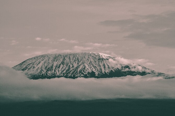 Rongai Route - 7 Days Kilimanjaro Climb - Summit Day Experience